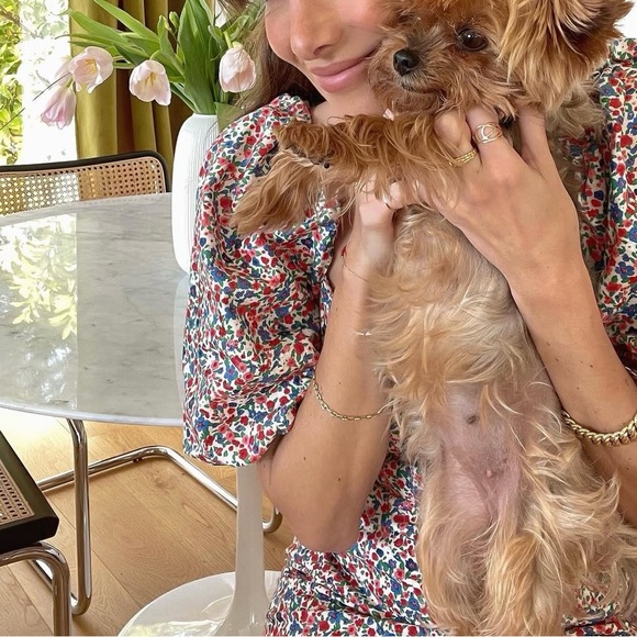 Sezane Alexandra Dress in Hanoi Print - Picture 13 of 15